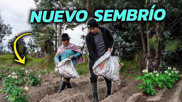 WE PLANTED POTATOES with my JUVENAL | Doña Empera
