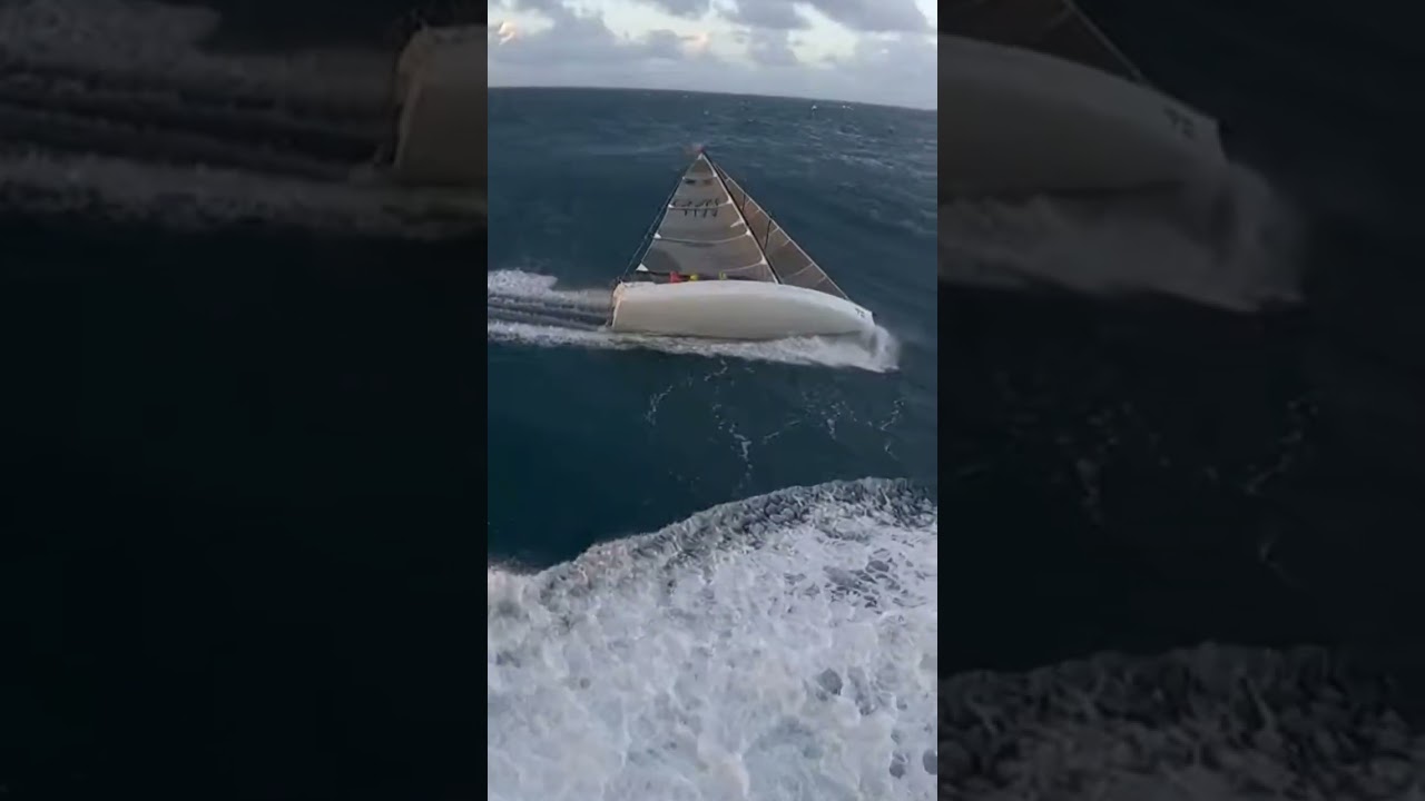 Nature’s power meets human skill. An absolutely mind-blowing ride! #sailinglife #moseshydrofoil