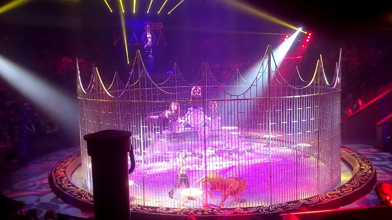 шоу фонтанов в цирке на фонтанке. шоу фонтанов воронеж цирк 2022. принц цирка программа. шоу фонтанов принц. шоу фонтанов брянск.