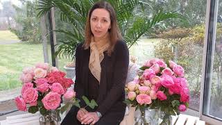 2020 Princess Grace Rose Garden - Philadelphia Flower Show Announcement