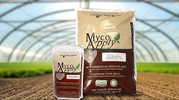 MycoApply Ultrafine Endo/Ecto