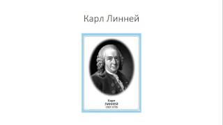 Урок №3 Урок №3
