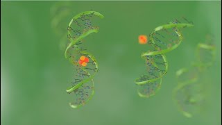 Ella Maru Studio Showreel - Scientific and medical animation