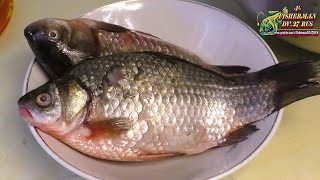 видео: Ищите новый рецепт, как приготовить вкусно карасей? Жареные караси в пиве по-Китайски. Попробуйте! картинка: Ищите новый рецепт, как приготовить вкусно карасей? Жареные караси в пиве по-Китайски. Попробуйте!