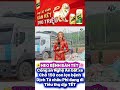 #dichtalonchauphi #dichtaheochauphi #trendingshorts #tintuc #lushoriginal #tet