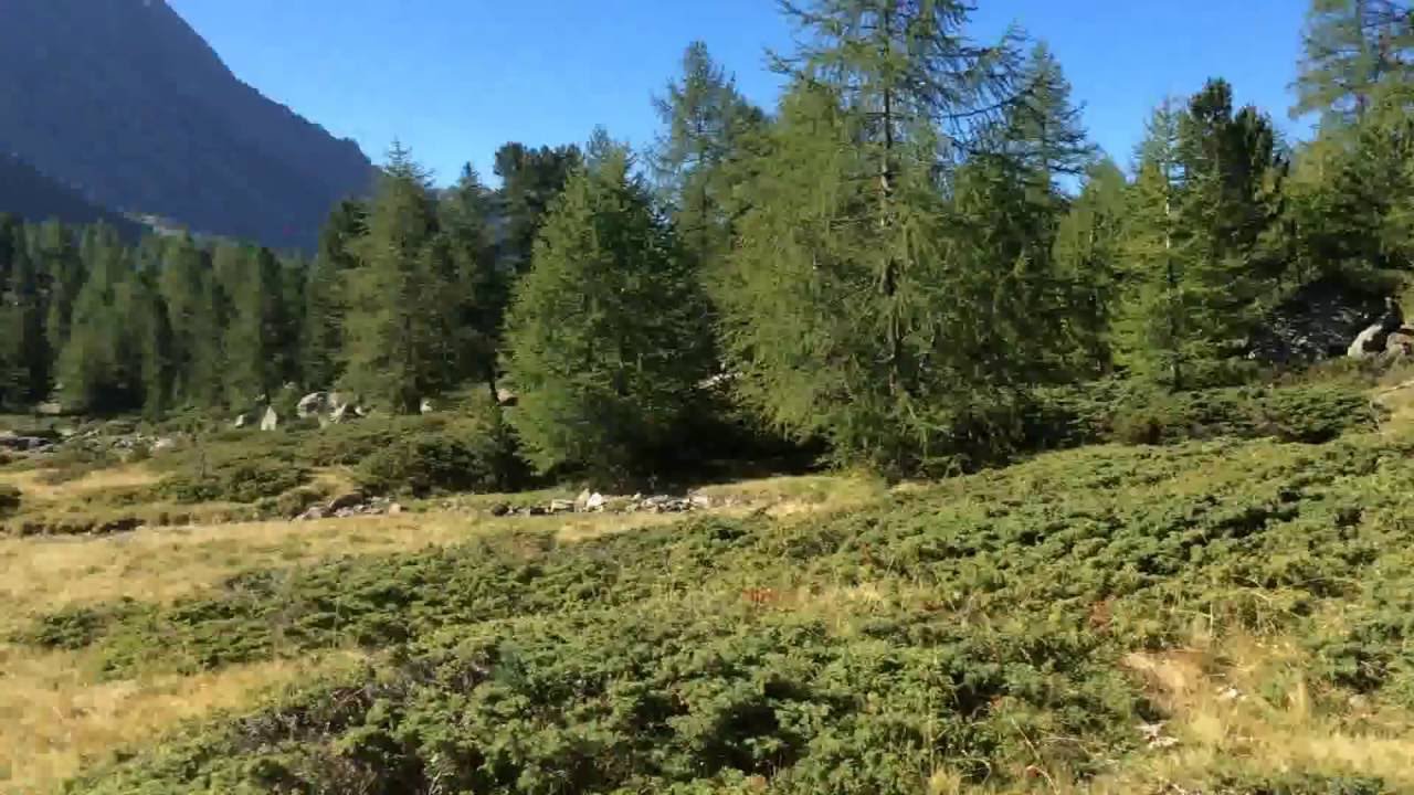 Lagh da Val Viola (2159 m.)