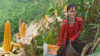 Orphan Life go to work to break corn for the villagers, Hire to earn money - Green Homeless life