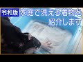 令和版 家庭で洗える着物を紹介します 528回