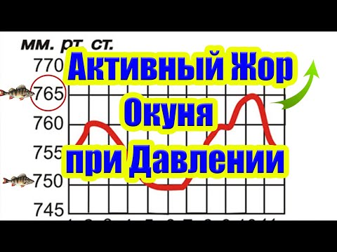 При каком давлении Клюет Окунь Влияние давления на клев рыбы