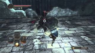 Dark souls 2!pursuer boss gravity death wuuuuut