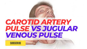 Carotid Artery Pulse Vs Jugular Venous Pulse | Physiology