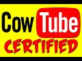 STEEL TOE MORNING SHOW PARTY DAVE 25 CHOICES PORN SEX DRUGS POKER POT SMOKING VIDEO GAMES NEWS