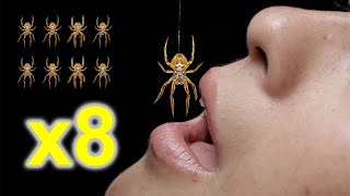 Do we swallow 8 spiders a year in our sleep? Myth or Reality?