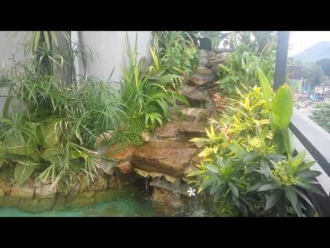 water-pond-design-idea-in-sri-lanka