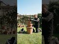 Amazing DIY Strawberry Tower Using Simple Garden Pots.