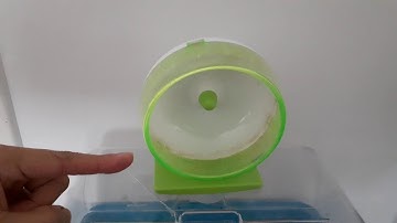 AH Physics Tangential Velocity and Angular Velocity