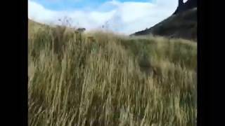 2 Hours of doing nothing! | Natural rustling grass in whispering winds in Scotland 2 hours!!