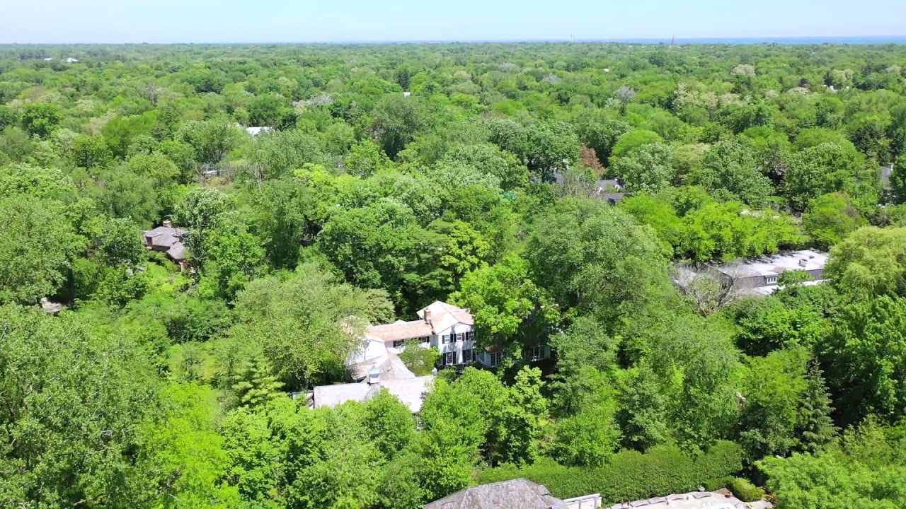 81 Woodley Road Jody Savino YouTube