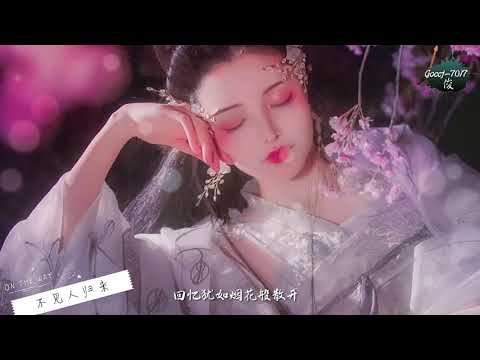 花僮【不见人归来】#Goccj，中文字幕,無損音質，Lyrics動態歌詞，TikTok 抖音音乐 网易云 全网超火超好听。 Goccj Music