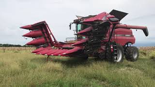 2014 Case IH 4412F Corn Head, unfold