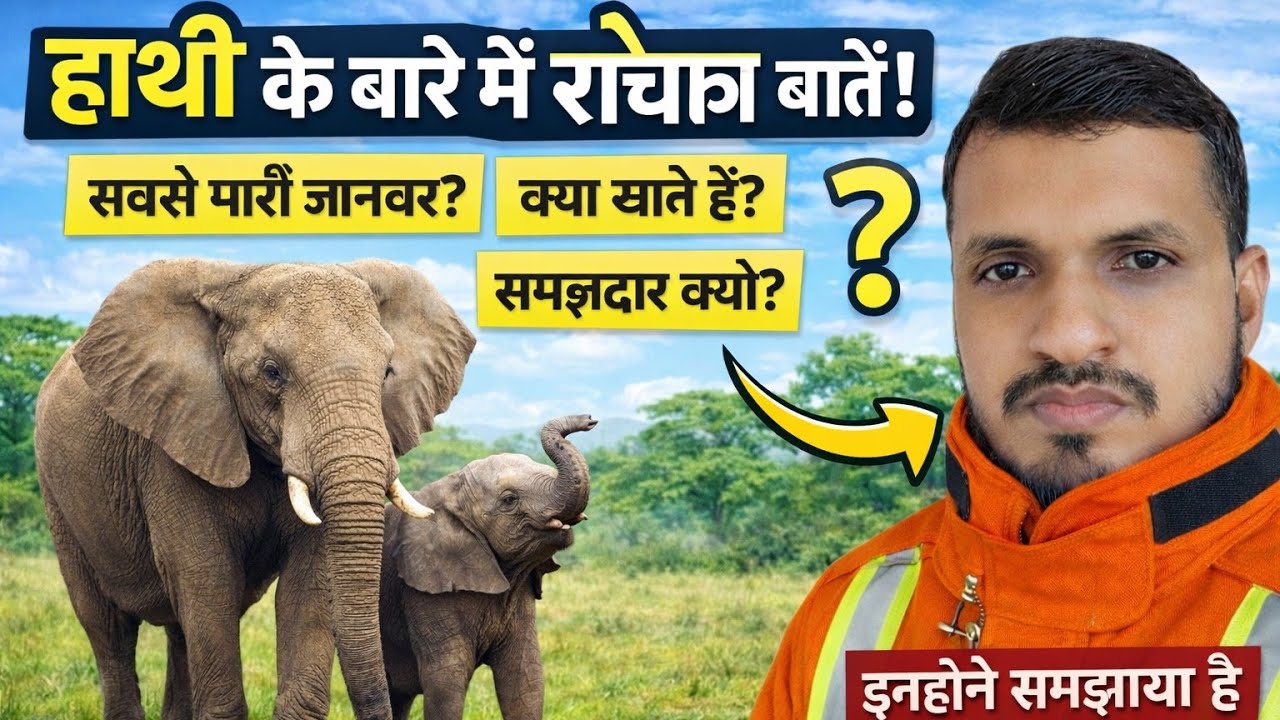 6.🫵Elephant =Living miracle 😨