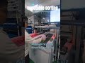 Vegetable Sorting with Automatic Wall #warehouseautomation#vegetables #sortingsystem #automation