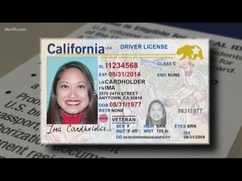 DMV Extends Deadline To Renew Drivers' Licenses, ID Cards