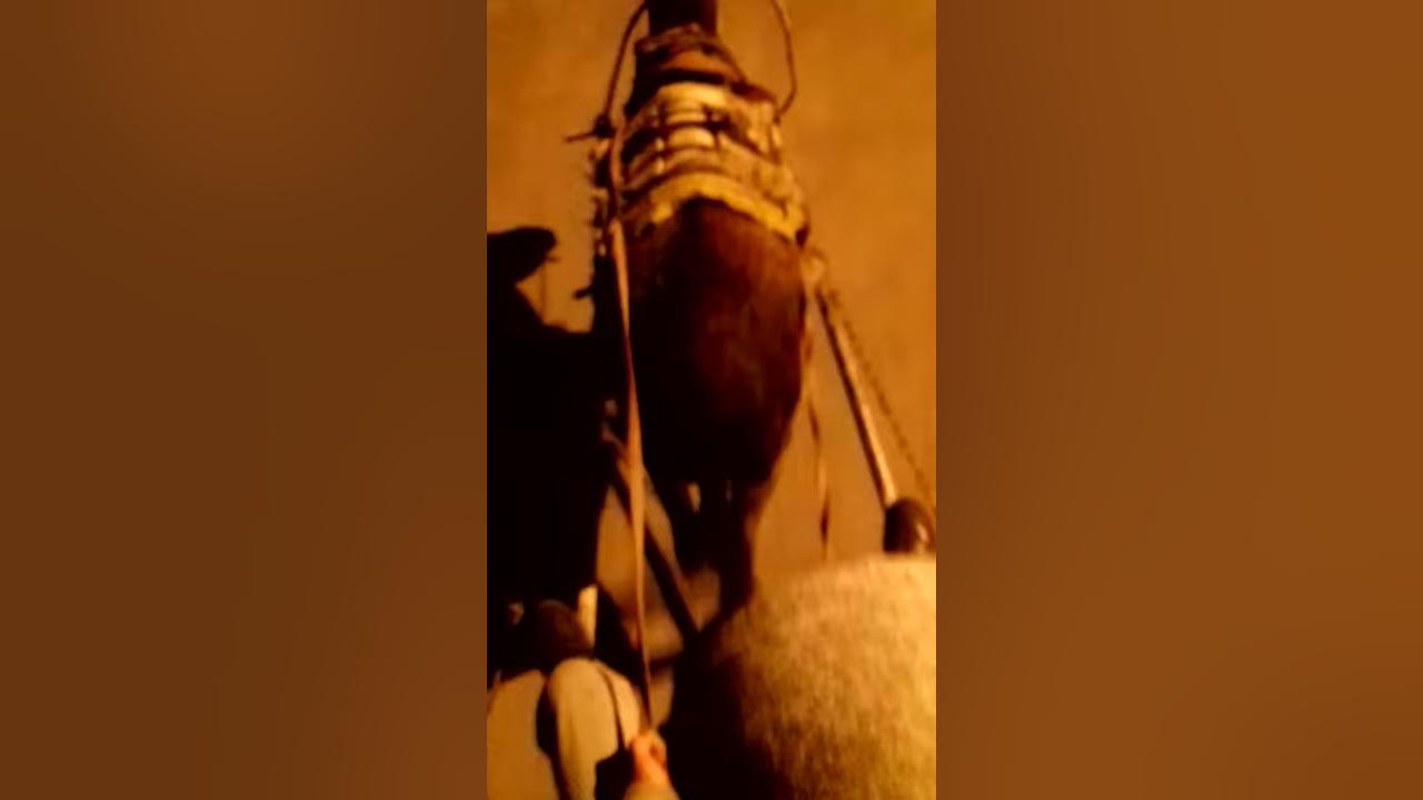 Верхом на ишаке - YouTube