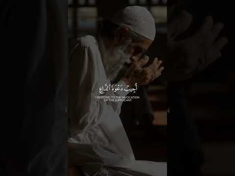 سعد الغامدي سورة البقرة Saad Al Ghamidi Surah Al Baqarah 