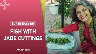 Super Easy DIY Fish with Jade Cuttings | बेकार पड़े वॉशबेसिन में जेड कटिंग का सही इस्तेमाल