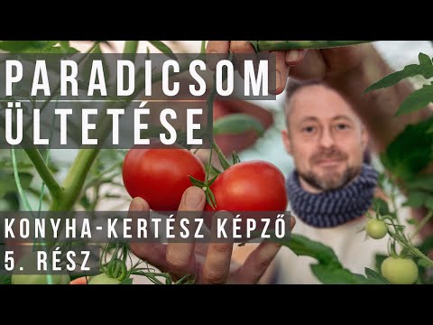 Videó: Tárgyi befektetett eszközök a társaság mérlegében