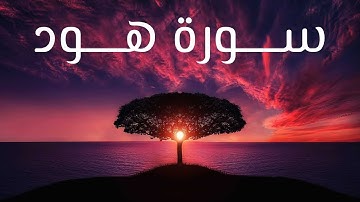 The end of Surat Hud by Sheikh Umair Shamim أواخر سورة هود للشيخ عمير شميم