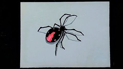 How to Draw a Spider Easy Step By Step Drawing Tutorials for Beginners – UCIDraw