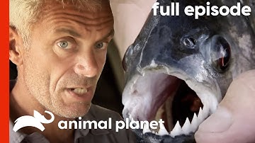 River Monsters: Jeremy Wade Investigates the Piranha (S1, E1) | Full Episode