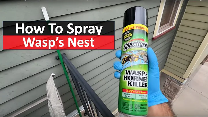 How To Spray A Wasp's Nest | The DIY Guide | Ep 228