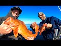 California vermillion rockfish catch clean and cook