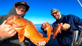 California Vermillion Rockfish Catch, Clean and Cook!