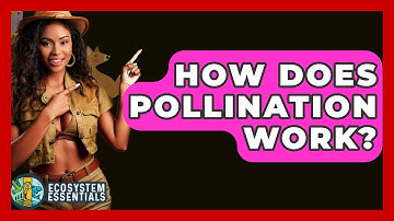 How Does Pollination Work? - Ecosystem Essentials