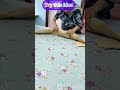 Quick and easy warm T shirt folding in seconds 👕👌##folding hack##easy tips##homeorganization##