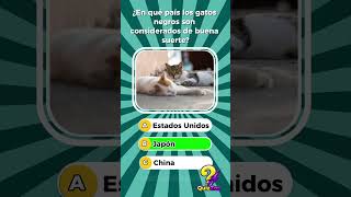 CUIDADO NIVEL DIFICIL  #quiz #gatos #retovisual #acertijos #cat #2026 #importante