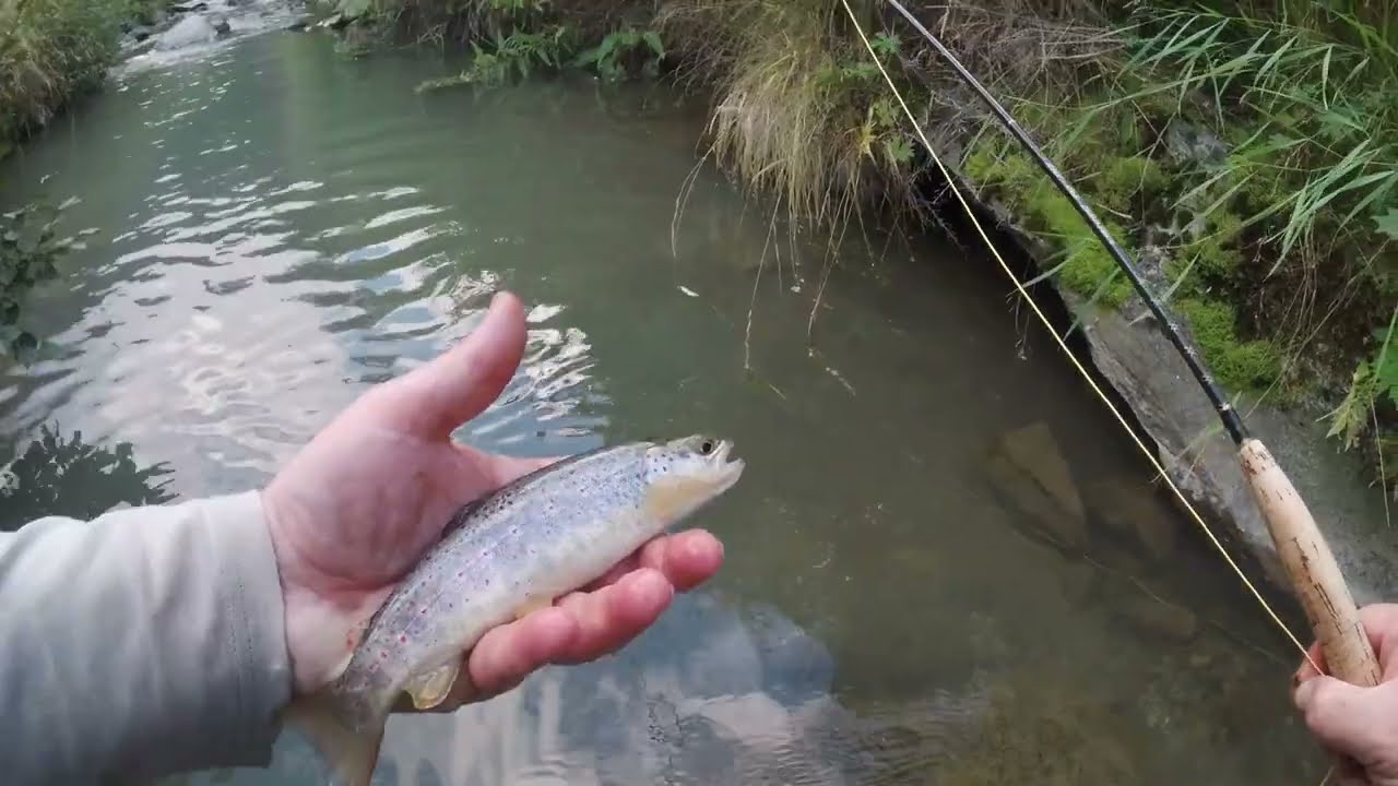 Sere d'Agosto - Dry Fly & Nymph in caccia con sorpresa finale