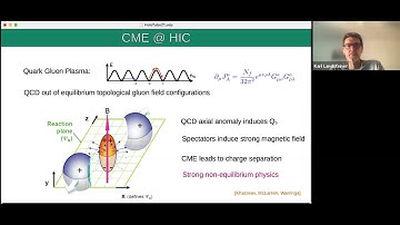 Karl Landsteiner (IFT) on whether the Chiral Magnetic Effect is Fast Enough