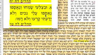 הדף היומי סנהדרין ק״ז 107 שלישי י״א  חשון תשע״ח