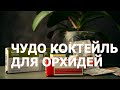 Чудо коктейль для орхидей, от стимуляции появятся корни, листок, цветонос