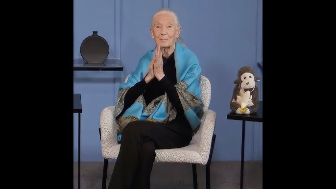 Crowd waiting for Jane Goodall 'shocked' to learn of death - YouTube