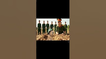 Cách Capy đào đất trong quân ngũ #ongbavaboss #capybara #memes