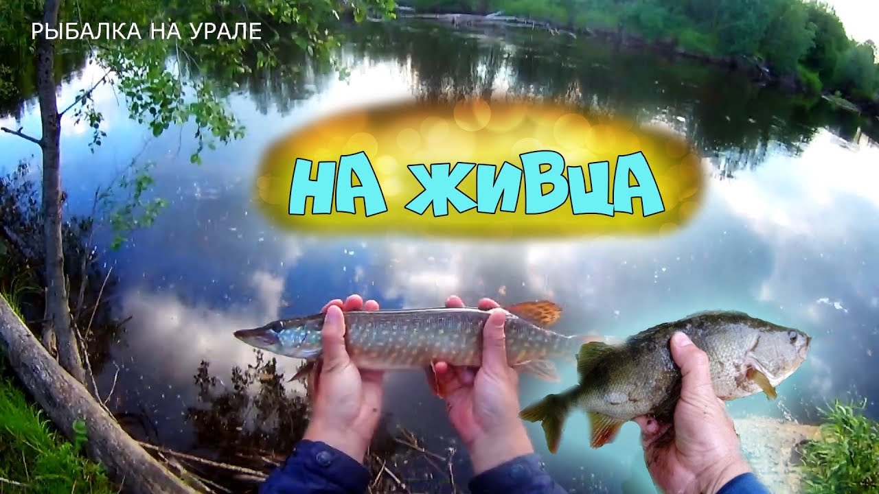 Где порыбачить на оке