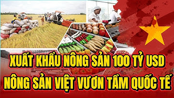 Xuất Khẩu Nông Sản 100 tỷ USD - Khát Vọng Và Hành Trình Ngành Nông Nghiệp Việt! | TIN TỨC ĐẢNG