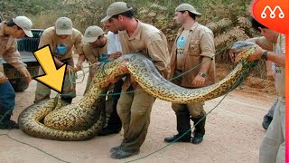 People Prepara Faculdade - 9. COBRINHA OU SNAKE O buscador do