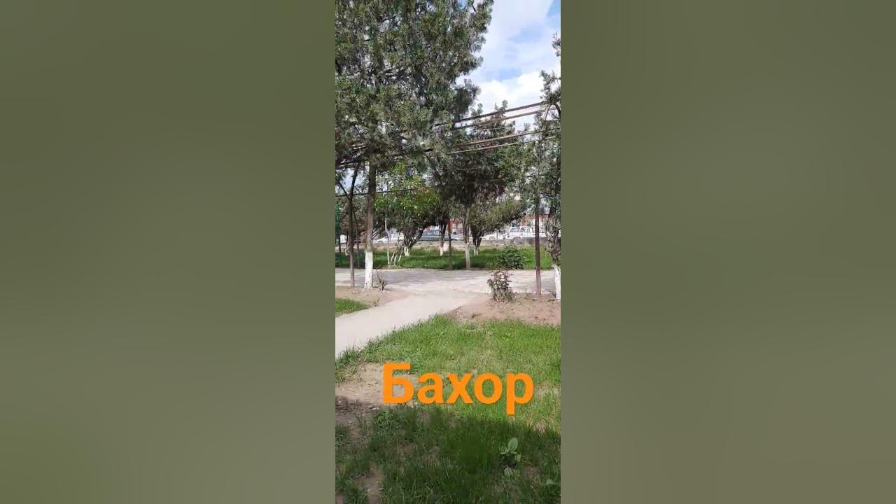 бахор - YouTube
